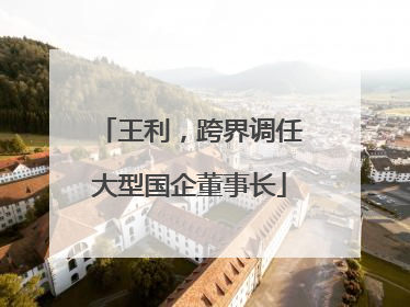 王利，跨界调任大型国企董事长