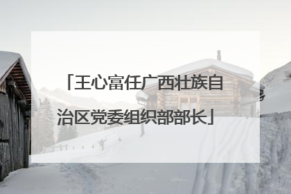 王心富任广西壮族自治区党委组织部部长