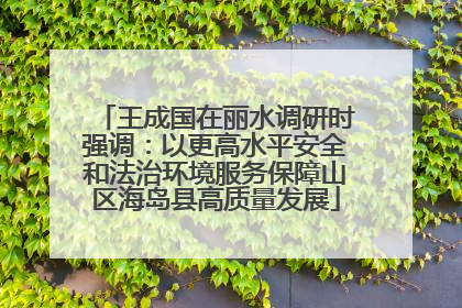 王成国在丽水调研时强调：以更高水平安全和法治环境服务保障山区海岛县高质量发展