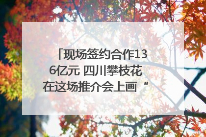 现场签约合作136亿元 四川攀枝花在这场推介会上画“图谱”列“清单”
