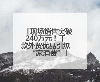 现场销售突破240万元！千款外贸优品引爆“家消费”