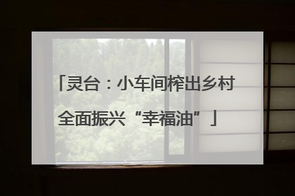 灵台：小车间榨出乡村全面振兴“幸福油”