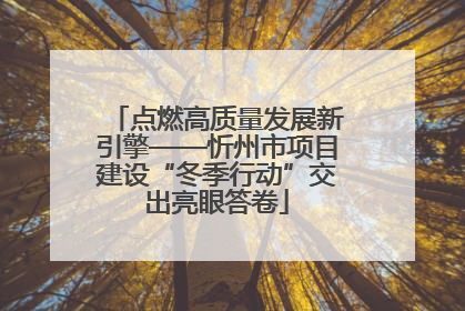 点燃高质量发展新引擎——忻州市项目建设“冬季行动”交出亮眼答卷