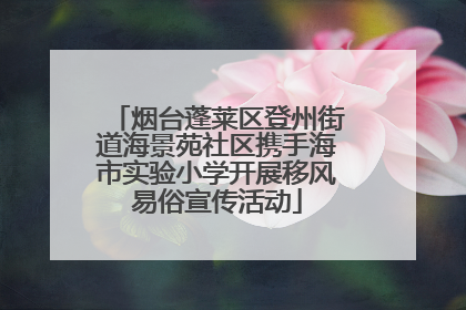 烟台蓬莱区登州街道海景苑社区携手海市实验小学开展移风易俗宣传活动