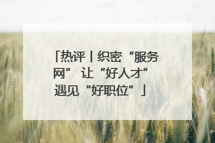 热评丨织密“服务网” 让“好人才”遇见“好职位”