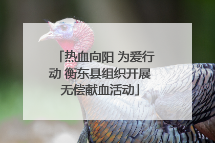 热血向阳 为爱行动 衡东县组织开展无偿献血活动