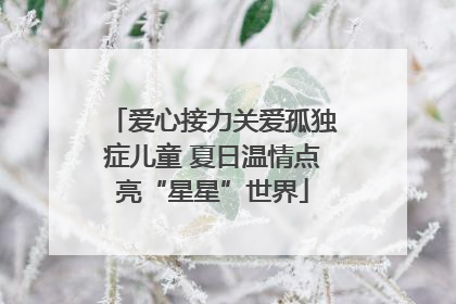 爱心接力关爱孤独症儿童 夏日温情点亮“星星”世界