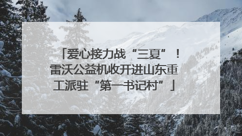 爱心接力战“三夏”！雷沃公益机收开进山东重工派驻“第一书记村”