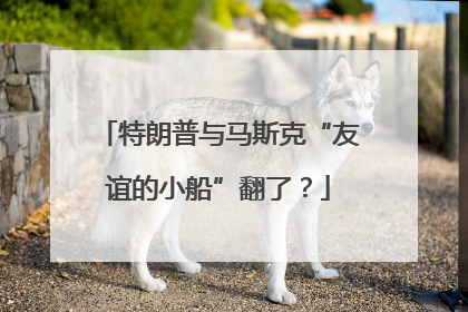 特朗普与马斯克“友谊的小船”翻了？