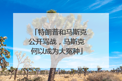 特朗普和马斯克公开骂战，马斯克何以成为大冤种