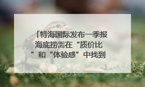 特海国际发布一季报 海底捞需在“质价比”和“体验感”中找到平衡｜新经济观察