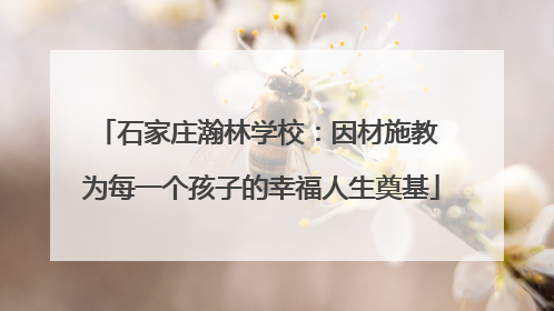 石家庄瀚林学校：因材施教 为每一个孩子的幸福人生奠基