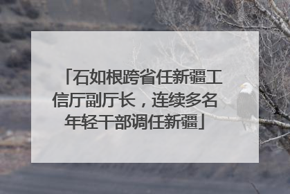 石如根跨省任新疆工信厅副厅长，连续多名年轻干部调任新疆