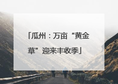 瓜州：万亩“黄金草”迎来丰收季