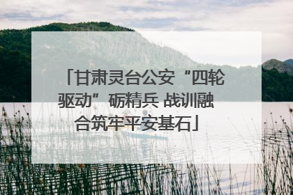 甘肃灵台公安“四轮驱动”砺精兵 战训融合筑牢平安基石