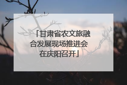 甘肃省农文旅融合发展现场推进会在庆阳召开
