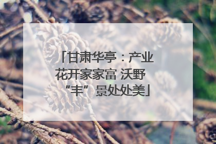 甘肃华亭：产业花开家家富 沃野“丰”景处处美