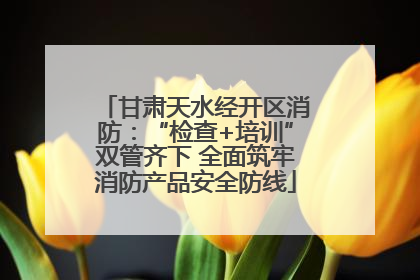甘肃天水经开区消防：“检查+培训”双管齐下 全面筑牢消防产品安全防线