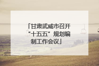甘肃武威市召开“十五五”规划编制工作会议