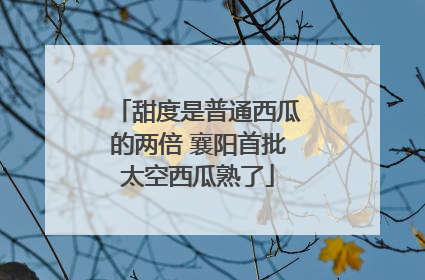 甜度是普通西瓜的两倍 襄阳首批太空西瓜熟了