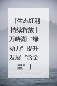 生态红利持续释放丨万峰湖“绿动力”提升发展“含金量”