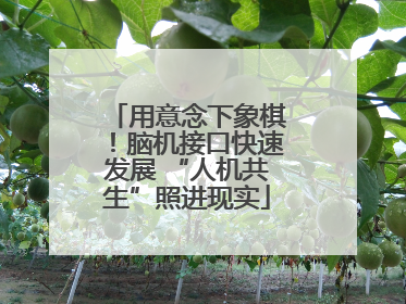 用意念下象棋！脑机接口快速发展 “人机共生”照进现实