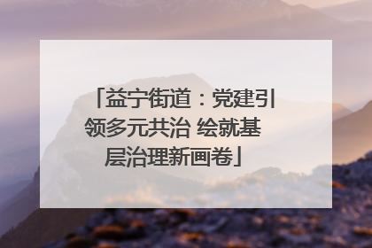 益宁街道：党建引领多元共治 绘就基层治理新画卷