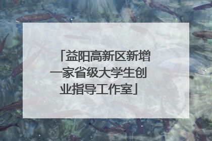 益阳高新区新增一家省级大学生创业指导工作室