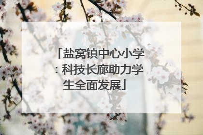 盐窝镇中心小学：科技长廊助力学生全面发展