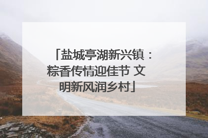 盐城亭湖新兴镇：粽香传情迎佳节 文明新风润乡村
