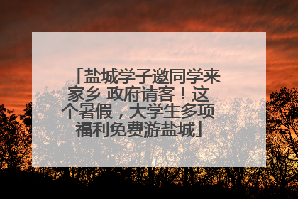 盐城学子邀同学来家乡 政府请客！这个暑假，大学生多项福利免费游盐城