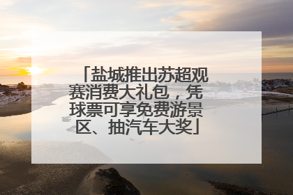 盐城推出苏超观赛消费大礼包，凭球票可享免费游景区、抽汽车大奖