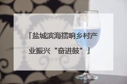 盐城滨海擂响乡村产业振兴“奋进鼓”