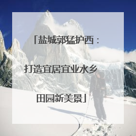 盐城郭猛护西：打造宜居宜业水乡田园新美景