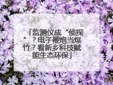 监测仪成“侦探”？电子鞭炮当爆竹？看新乡科技赋能生态环保