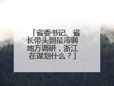 省委书记、省长带头到最薄弱地方调研，浙江在谋划什么？
