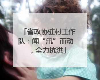 省政协驻村工作队：闻“汛”而动，全力抗洪
