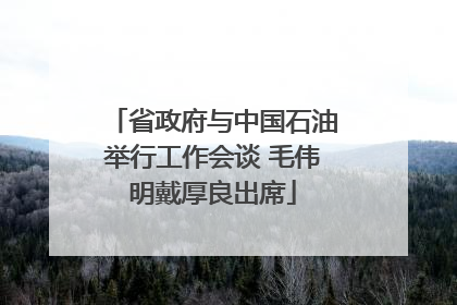 省政府与中国石油举行工作会谈 毛伟明戴厚良出席