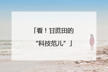 看！甘蔗田的“科技范儿”