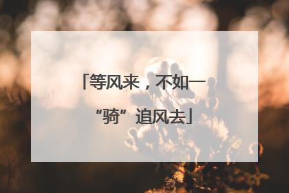等风来，不如一“骑”追风去