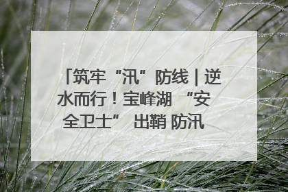 筑牢“汛”防线｜逆水而行！宝峰湖 “安全卫士” 出鞘 防汛应急再添硬核力量