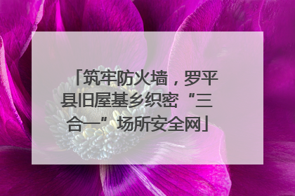 筑牢防火墙，罗平县旧屋基乡织密“三合一”场所安全网