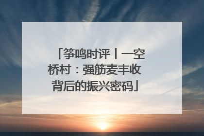 筝鸣时评丨一空桥村：强筋麦丰收背后的振兴密码