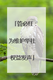 管必红：为维护华社权益发声