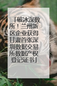 破冰深数所！兰州新区企业获得甘肃首张深圳数据交易所数据产权登记证书