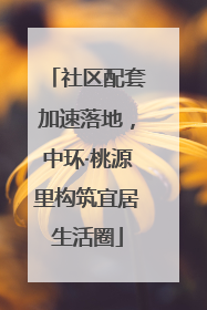 社区配套加速落地，中环·桃源里构筑宜居生活圈