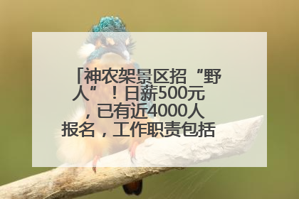 神农架景区招“野人”！日薪500元，已有近4000人报名，工作职责包括“接受游客投喂”