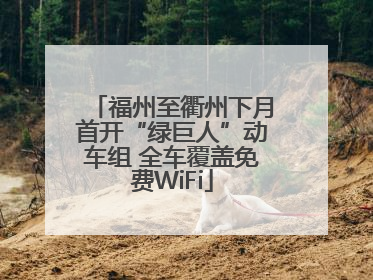 福州至衢州下月首开“绿巨人”动车组 全车覆盖免费WiFi
