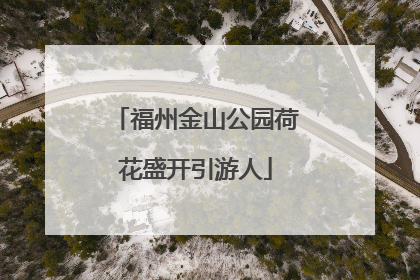 福州金山公园荷花盛开引游人