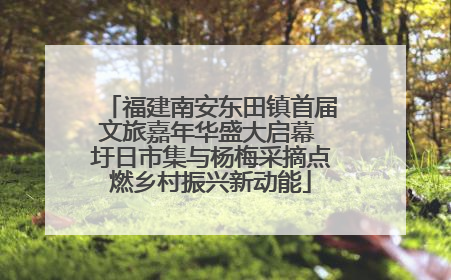 福建南安东田镇首届文旅嘉年华盛大启幕 圩日市集与杨梅采摘点燃乡村振兴新动能